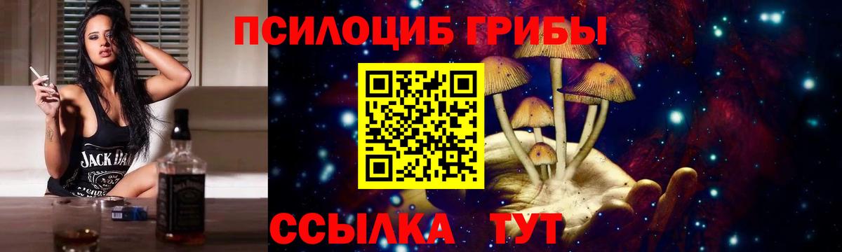 Псилоцибиновые грибы мицелий Жигулёвск